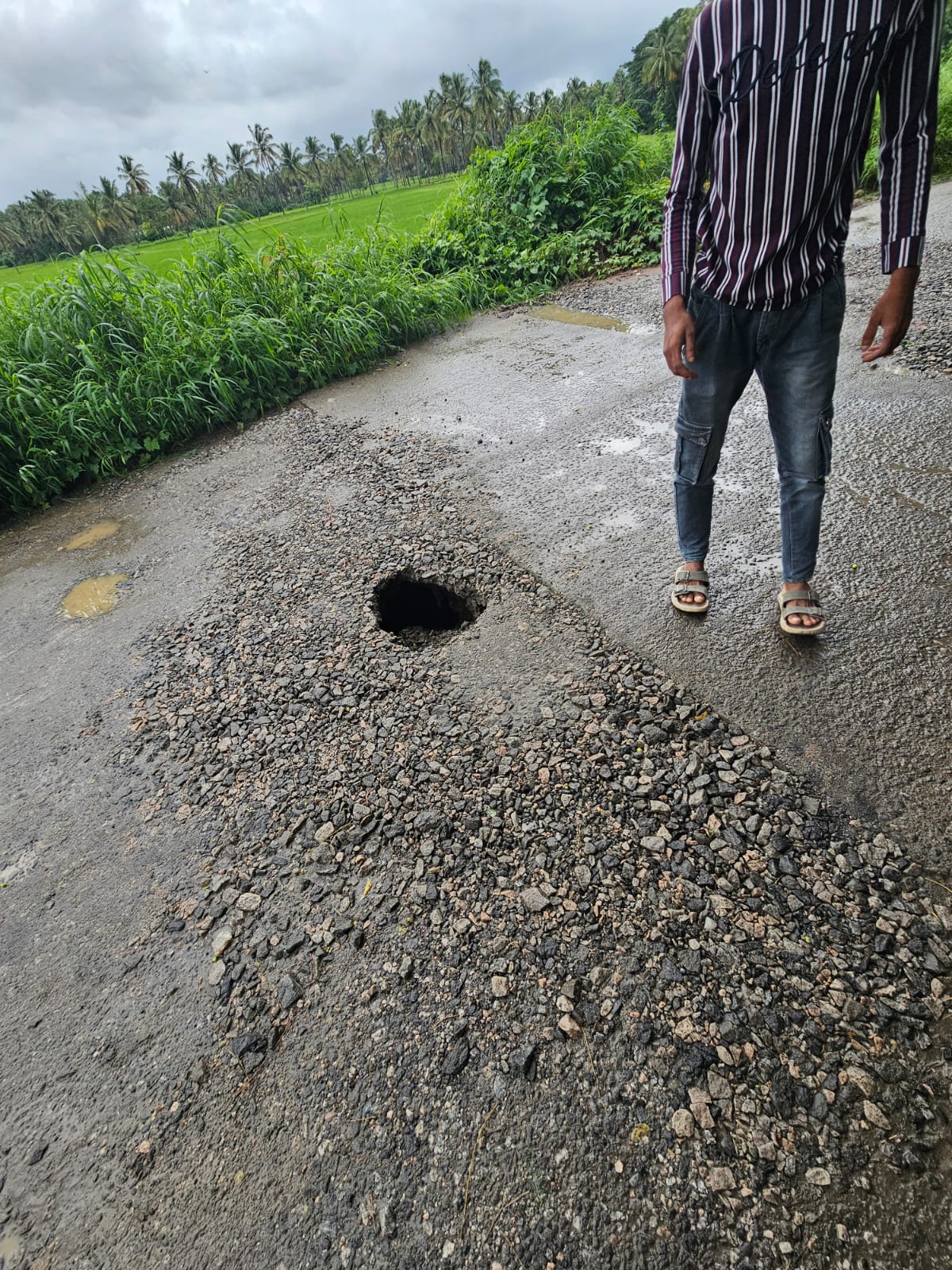 Road Damage